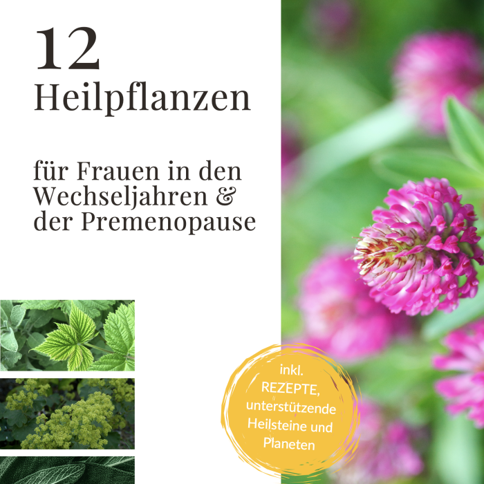 E-Book Titel Heilpflanzen für die Wechseljahre