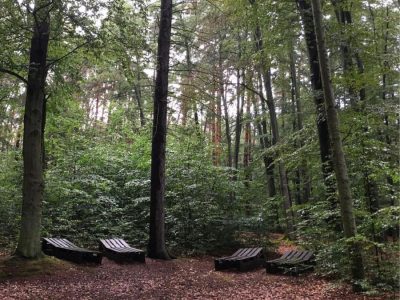 Yoga Wochenende für Alleinreisende mit Waldbaden Thüringen